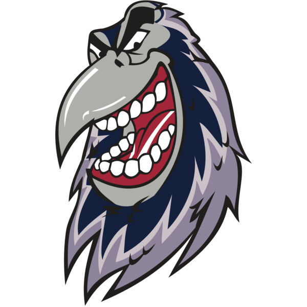 RAVEN HD0503 RQC Thumbnail