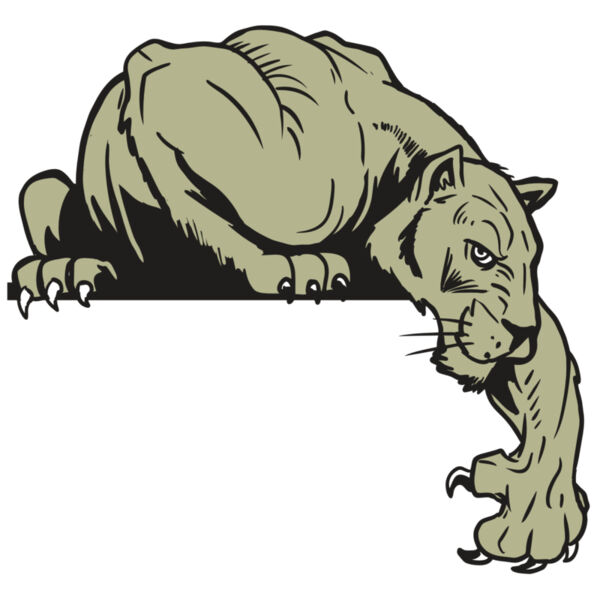 AR10 PANTHER 06 RQC Thumbnail